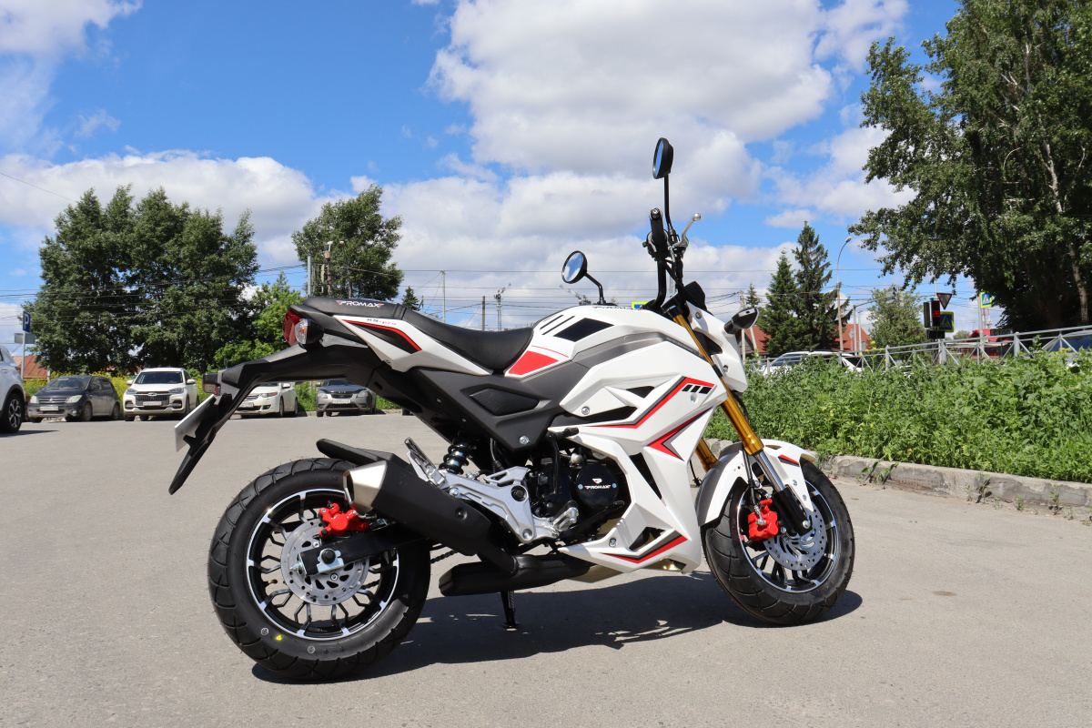 Мотоцикл PROMAX STRYKER 200(49) 2.0 в Новомосковске