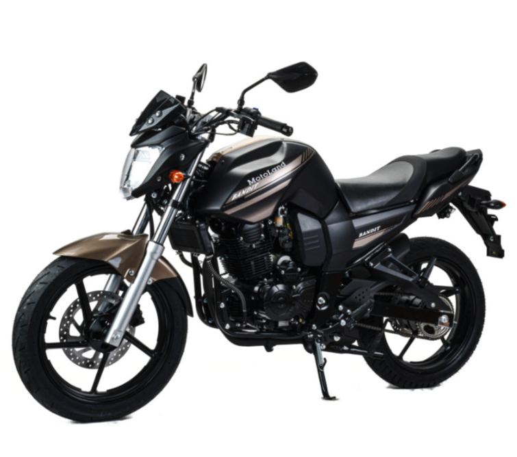 Мотоцикл MOTOLAND (МОТОЛЕНД) 300 BANDIT в Новомосковске