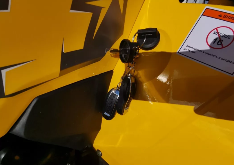 Квадроцикл MOTOLAND (МОТОЛЕНД) VOX200 WILD TRACK X PRO (баланс. вал) в Новомосковске