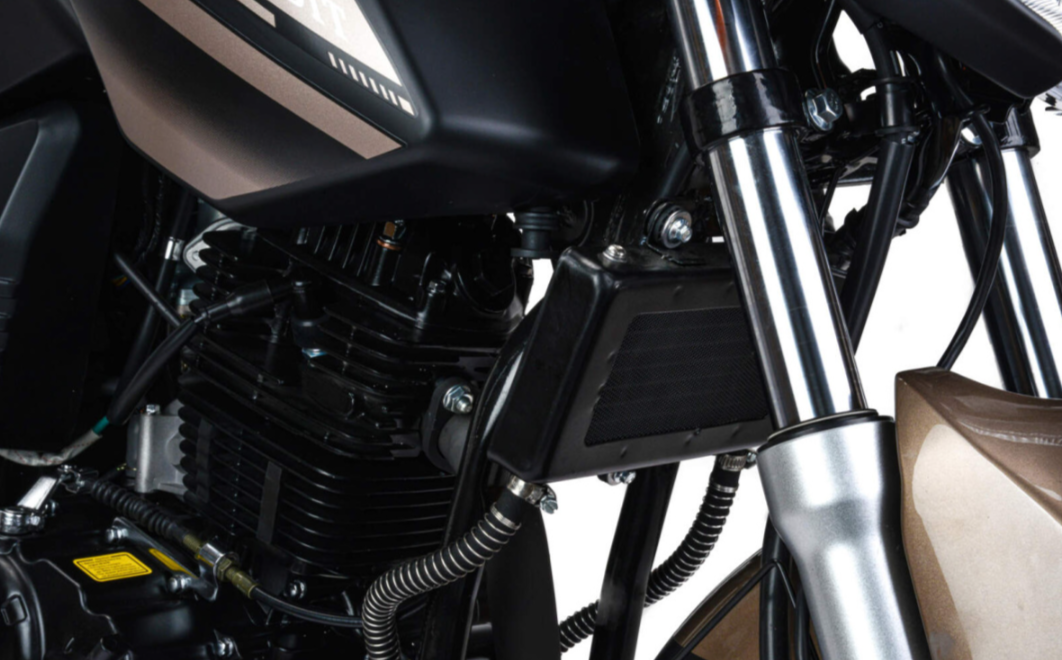 Мотоцикл MOTOLAND (МОТОЛЕНД) 300 BANDIT в Новомосковске