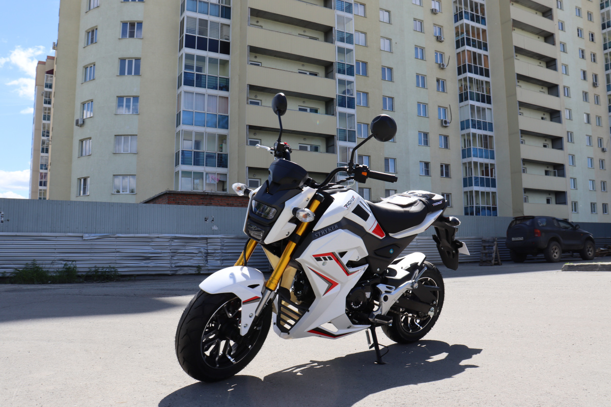 Мотоцикл PROMAX STRYKER 200(49) 2.0 в Новомосковске