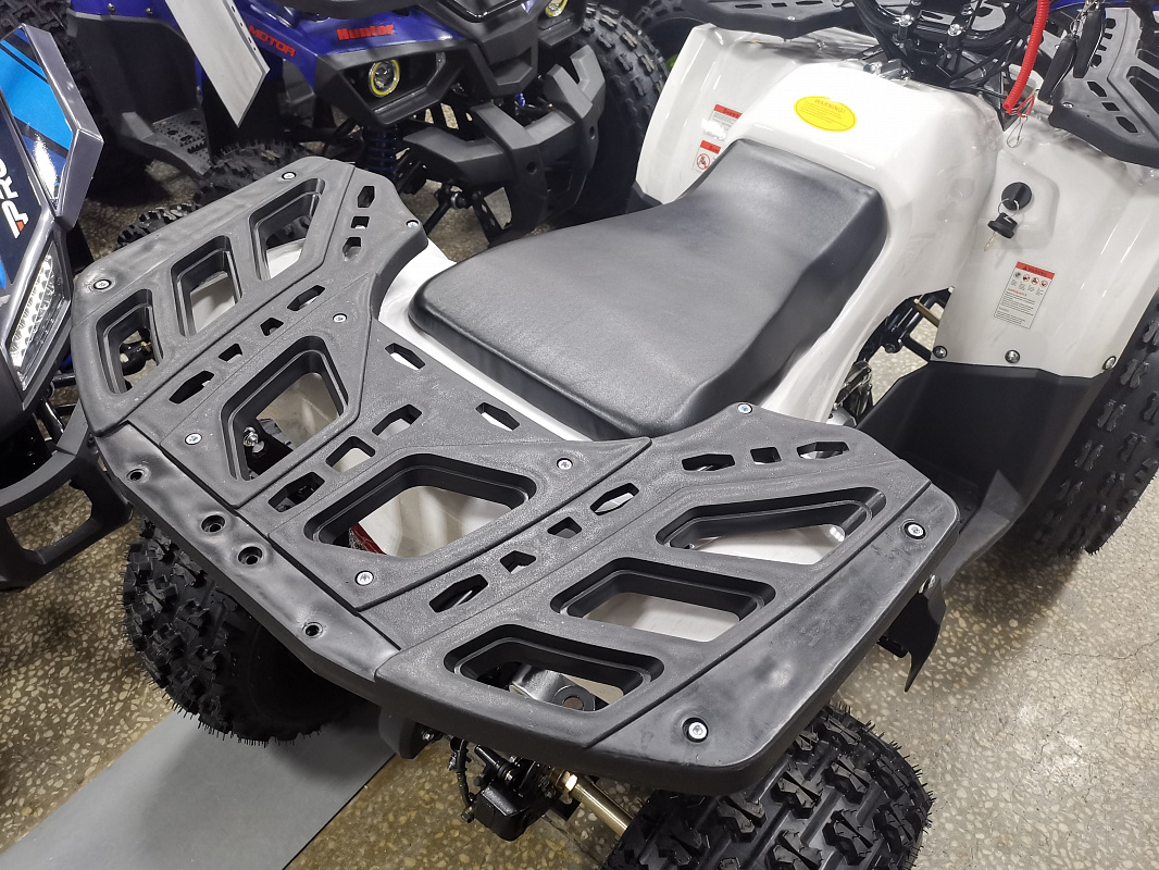 Квадроцикл PROMAX WILD 175 LUX в Новомосковске