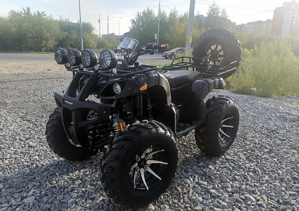 Квадроцикл PROMAX LEO 300 Max (кардан) в Новомосковске
