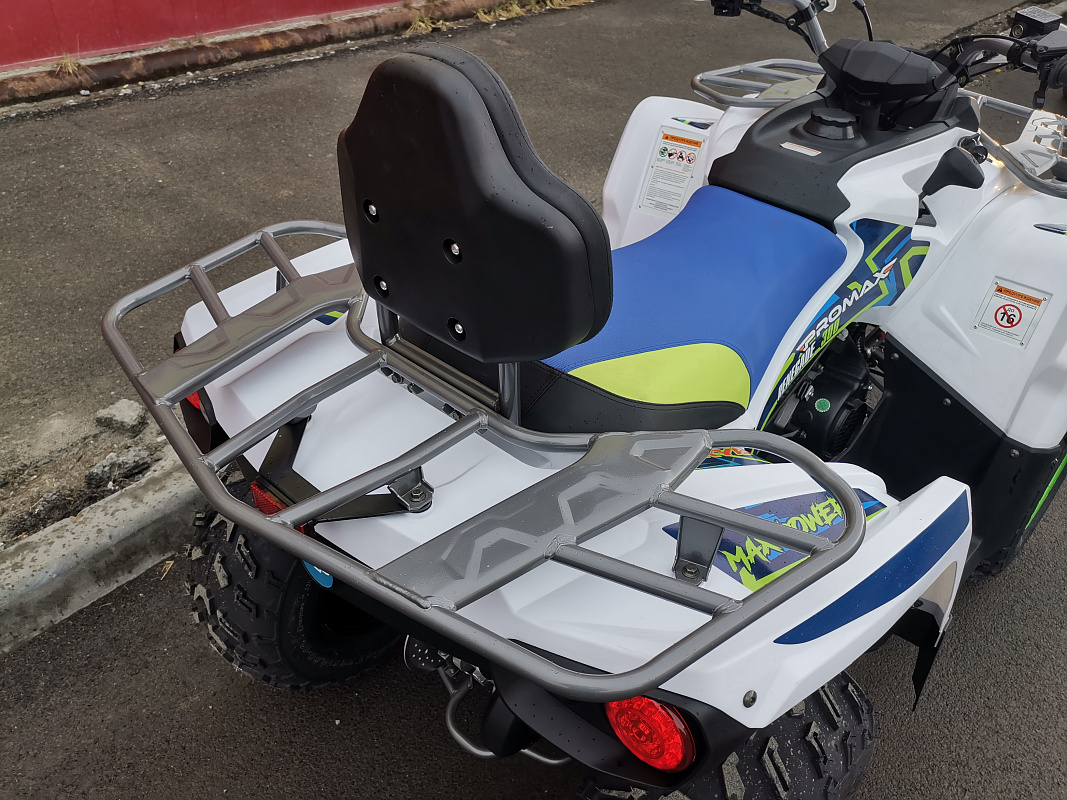 Квадроцикл PROMAX RENEGADE 280 LUX (2025) в Новомосковске