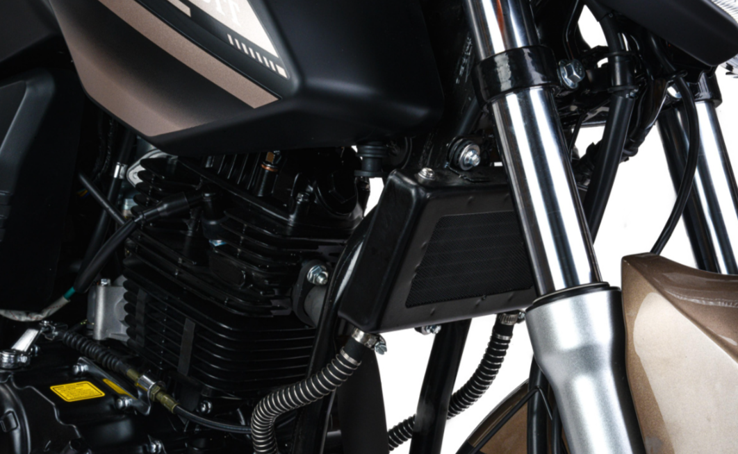 Мотоцикл MOTOLAND (МОТОЛЕНД) 300 BANDIT в Новомосковске