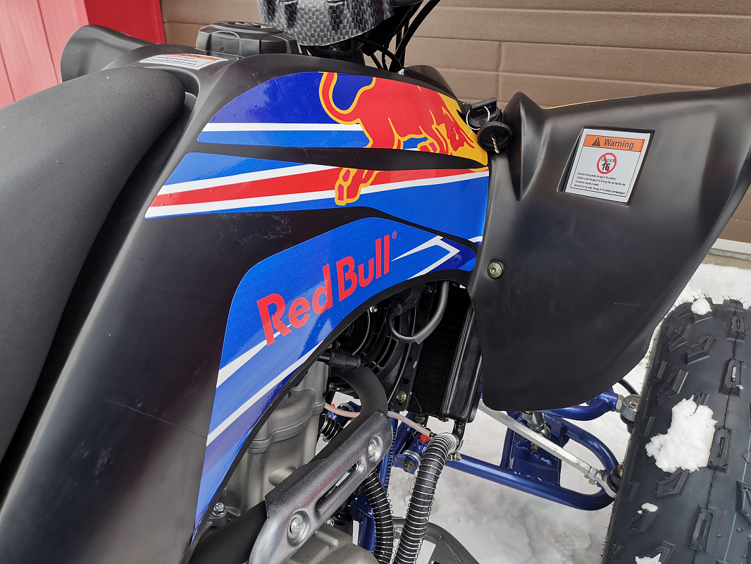 Квадроцикл PROMAX RAPTOR 300 NEW RedBull в Новомосковске