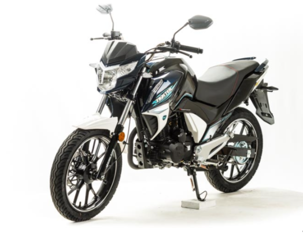 Мотоцикл MOTOLAND (МОТОЛЕНД) FIGHTER 250 в Новомосковске