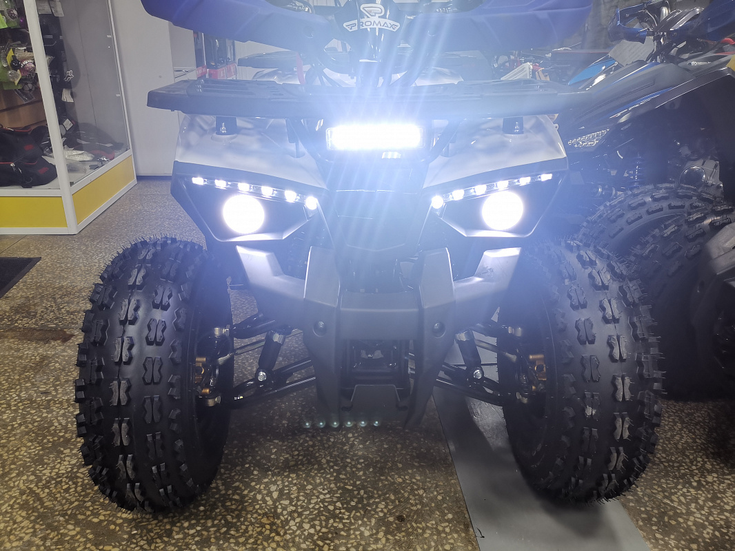 Квадроцикл PROMAX WILD 175 LUX в Новомосковске