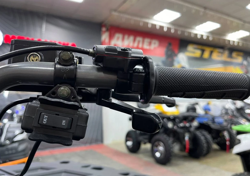 Квадроцикл PROMAX RENEGADE 300 LONG WINCH PRO (2025) в Новомосковске