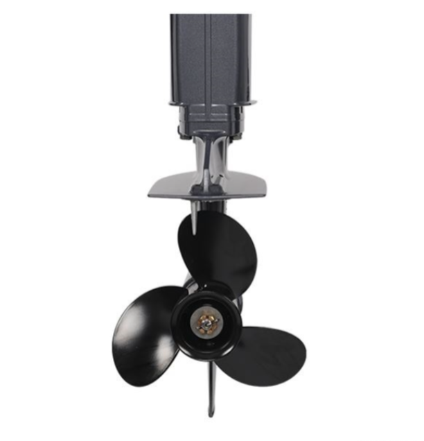 Лодочный мотор ALLFA CG Т40FW S в Новомосковске