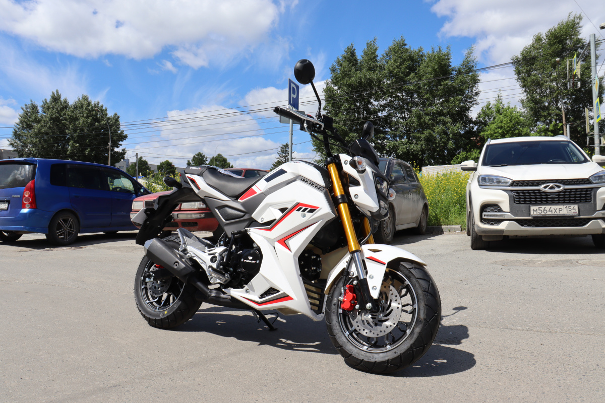 Мотоцикл PROMAX STRYKER 200(49) 2.0 в Новомосковске