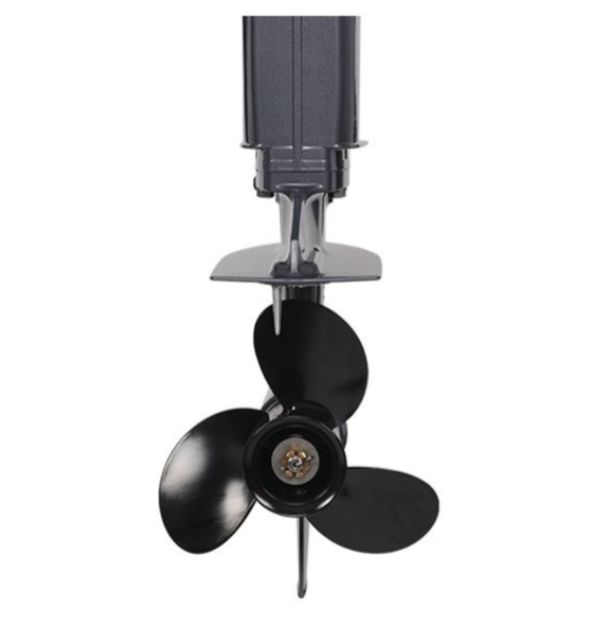 Лодочный мотор ALLFA CG Т40FWT S в Новомосковске