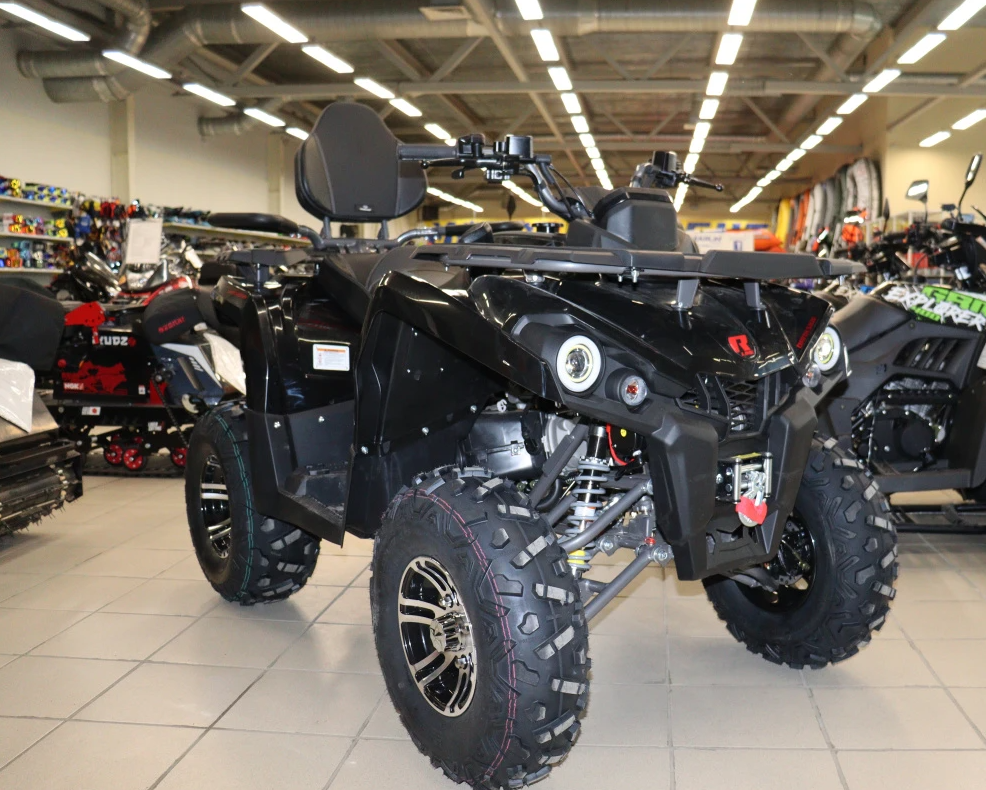 Квадроцикл PROMAX RENEGADE 300 LONG WINCH PRO (2025) в Новомосковске