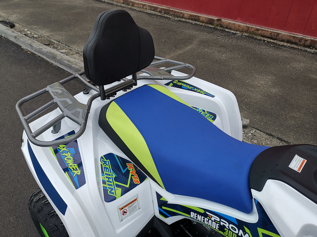 Квадроцикл PROMAX RENEGADE 280 LUX (2025) в Новомосковске