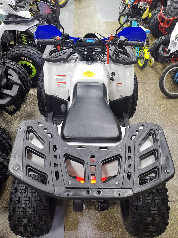 Квадроцикл PROMAX WILD 175 LUX в Новомосковске