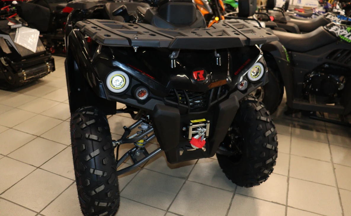 Квадроцикл PROMAX RENEGADE 300 LONG WINCH PRO (2025) в Новомосковске