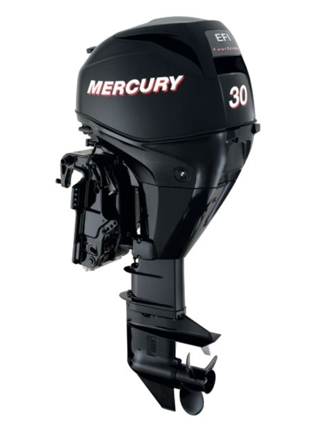 ЛОДОЧНЫЙ МОТОР MERCURY  F 30 ELH GA EFI в Новомосковске