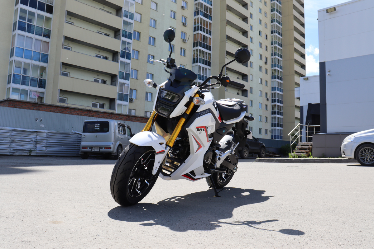 Мотоцикл PROMAX STRYKER 200(49) 2.0 в Новомосковске