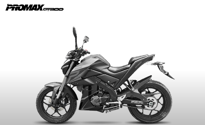 Мотоцикл PROMAX MT300 в Новомосковске