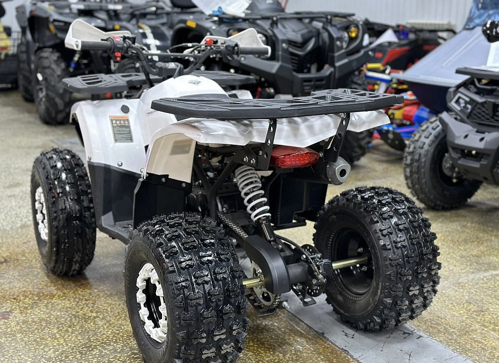 Квадроцикл PROMAX WILD 2.0 190 в Новомосковске