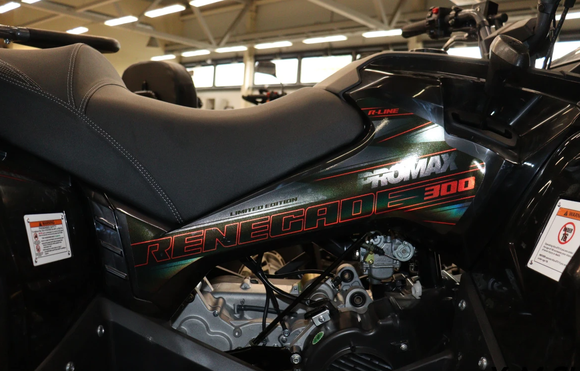 Квадроцикл PROMAX RENEGADE 300 LONG WINCH PRO (2025) в Новомосковске
