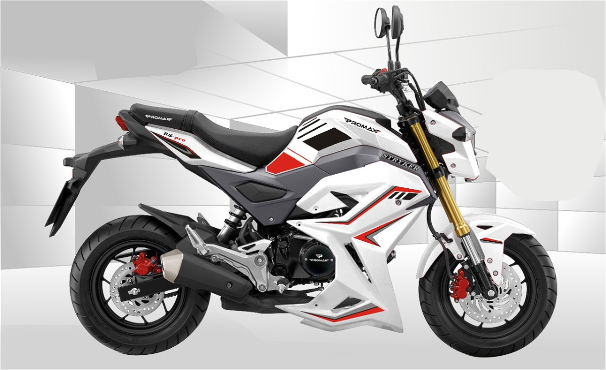 Мотоцикл PROMAX STRYKER 200(49) 2.0 в Новомосковске