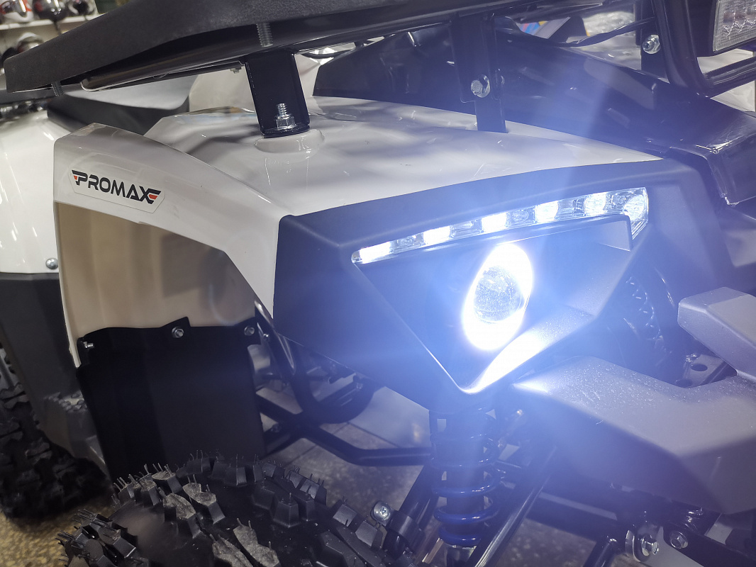 Квадроцикл PROMAX WILD 175 LUX в Новомосковске