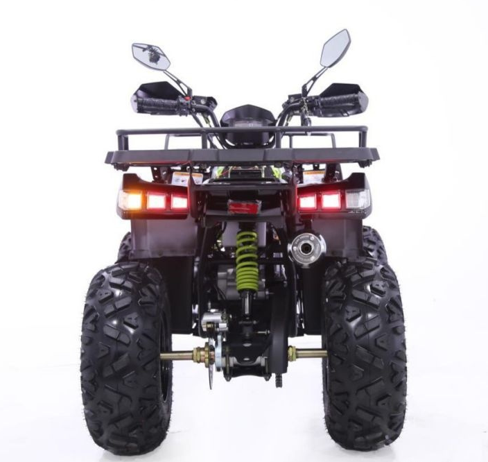 Квадроцикл YACOTA WARRIOR 200 PRO в Новомосковске