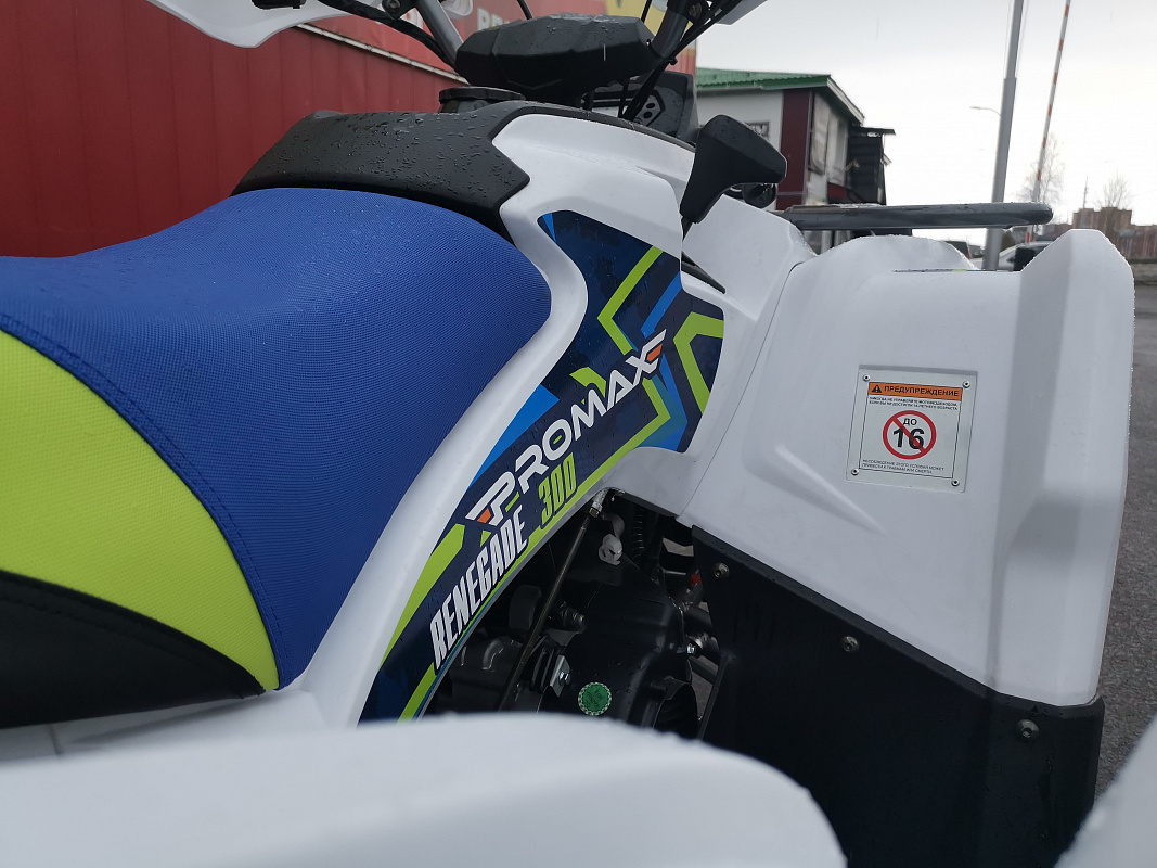 Квадроцикл PROMAX RENEGADE 280 LUX (2025) в Новомосковске
