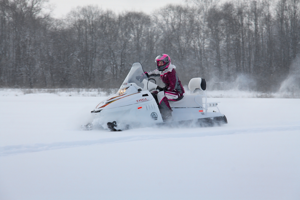 СНЕГОХОД РМ ТАЙГА ПАТРУЛЬ 551 SWT в Новомосковске