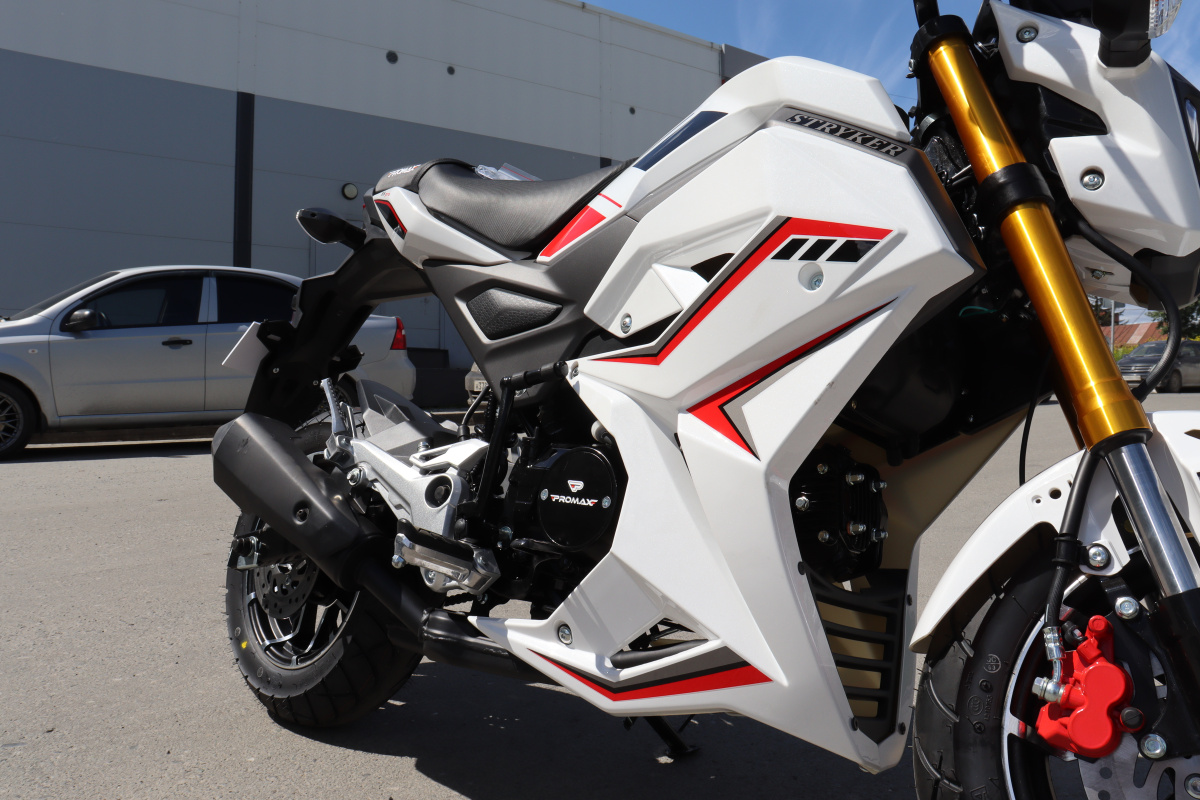 Мотоцикл PROMAX STRYKER 200(49) 2.0 в Новомосковске
