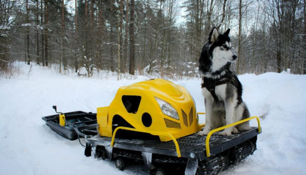 Мотобуксировщик LEBEDEV MOTORS ВОЛКОДАВ POWER V13 в Новомосковске