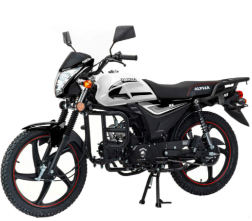 Мопед MOTOLAND (МОТОЛЕНД) Альфа RS 11 (LM48-B) в Новомосковске