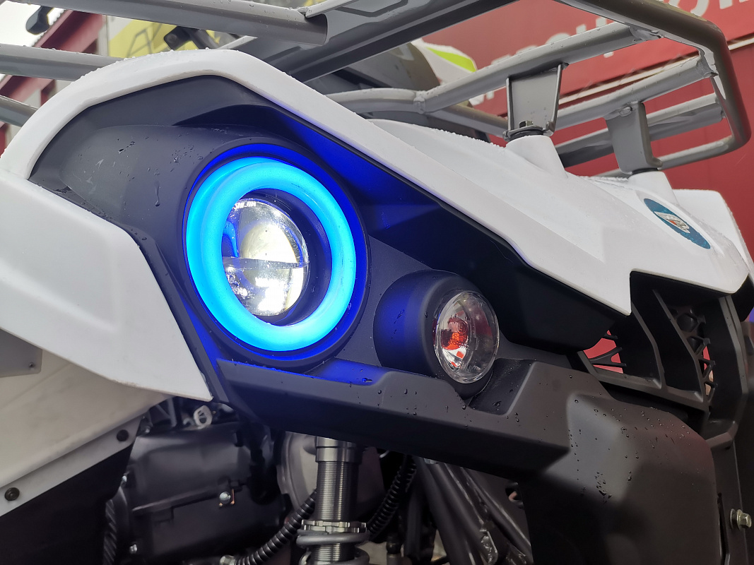 Квадроцикл PROMAX RENEGADE 280 LUX (2025) в Новомосковске