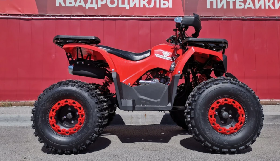 Квадроцикл PROMAX WILD 175 BASIC в Новомосковске