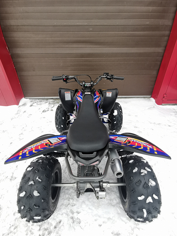 Квадроцикл PROMAX RAPTOR 300 NEW RedBull в Новомосковске