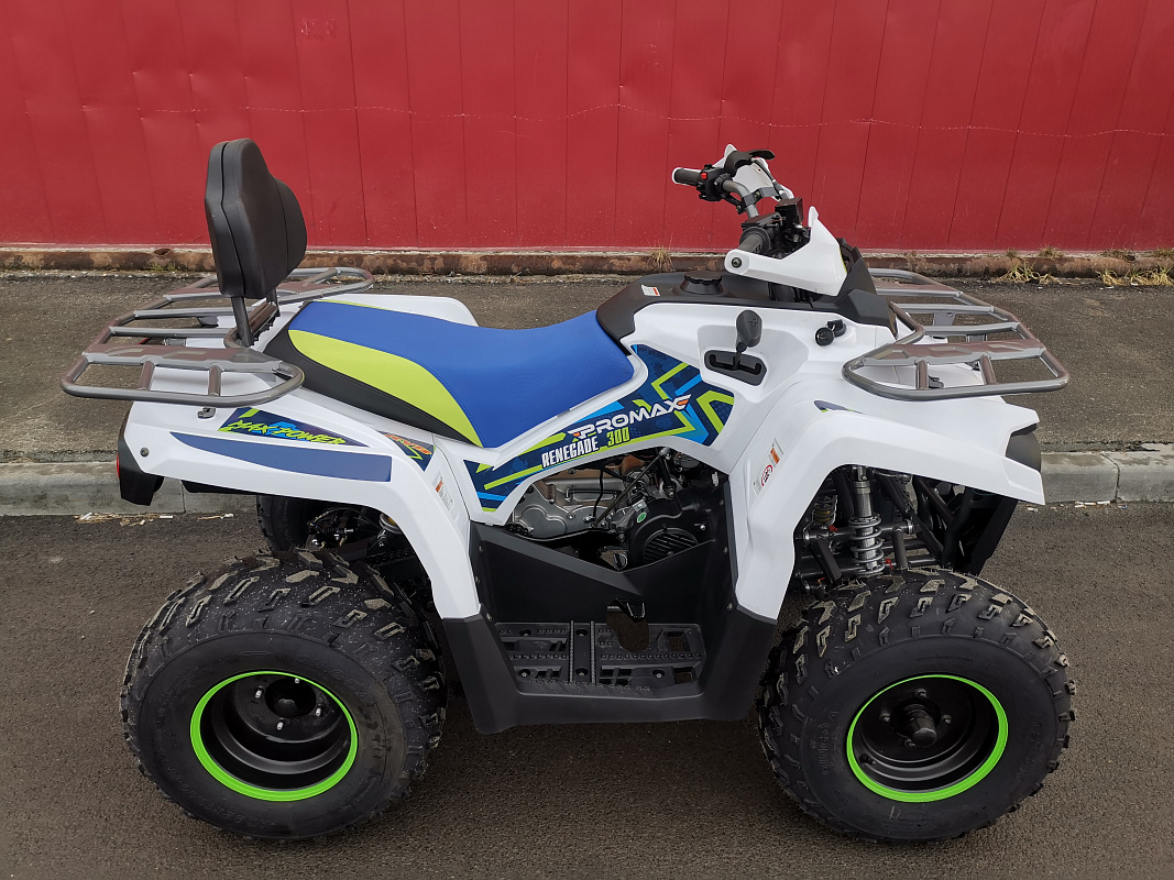 Квадроцикл PROMAX RENEGADE 280 LUX (2025) в Новомосковске