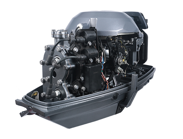 ЛОДОЧНЫЙ МОТОР ALLFA CG T30 FW S в Новомосковске