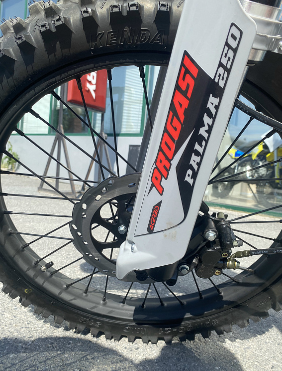 Мотоцикл Progasi PALMA 300 NEW (CB300F) в Новомосковске