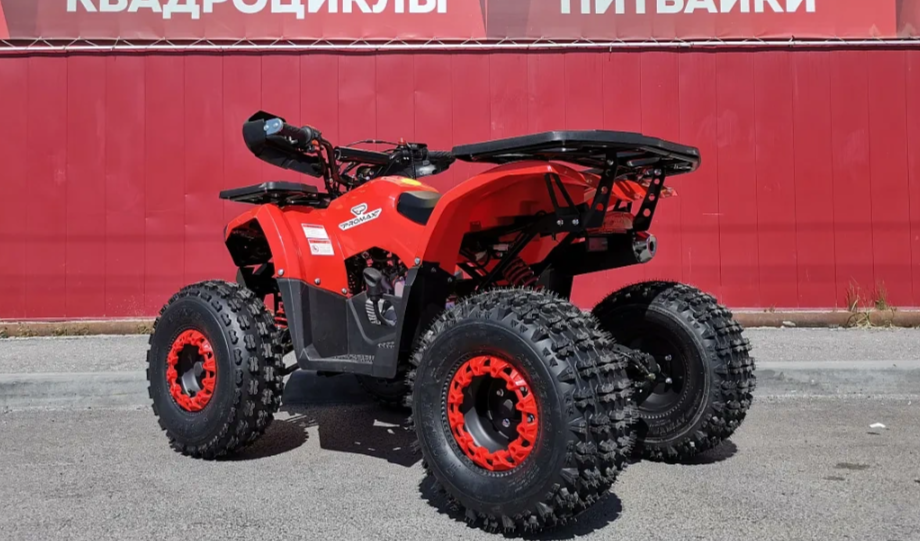 Квадроцикл PROMAX WILD 175 BASIC в Новомосковске
