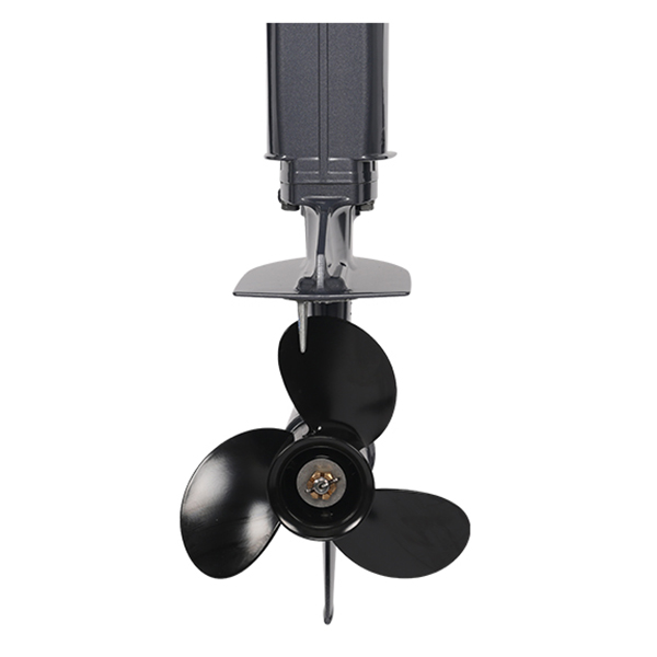 ЛОДОЧНЫЙ МОТОР ALLFA CG T30 FW S в Новомосковске