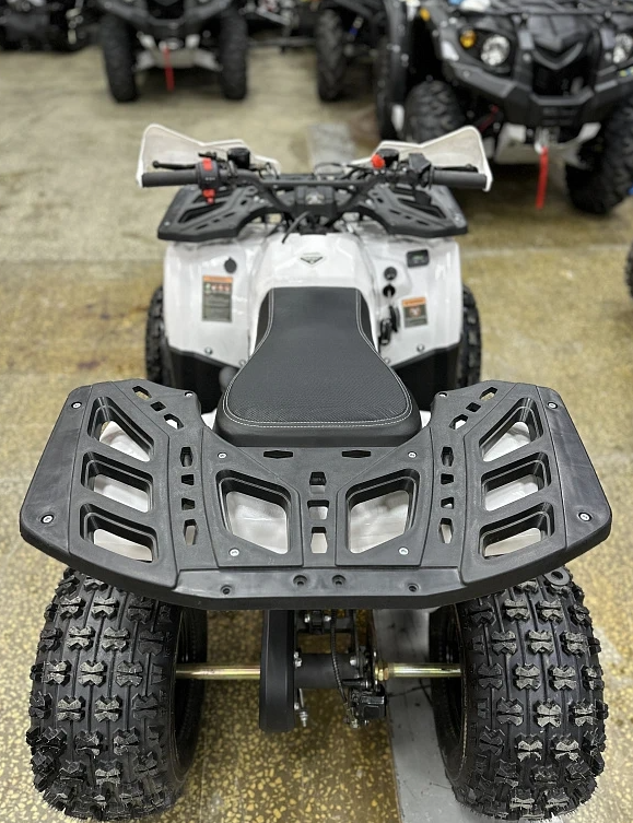 Квадроцикл PROMAX WILD 2.0 190 в Новомосковске