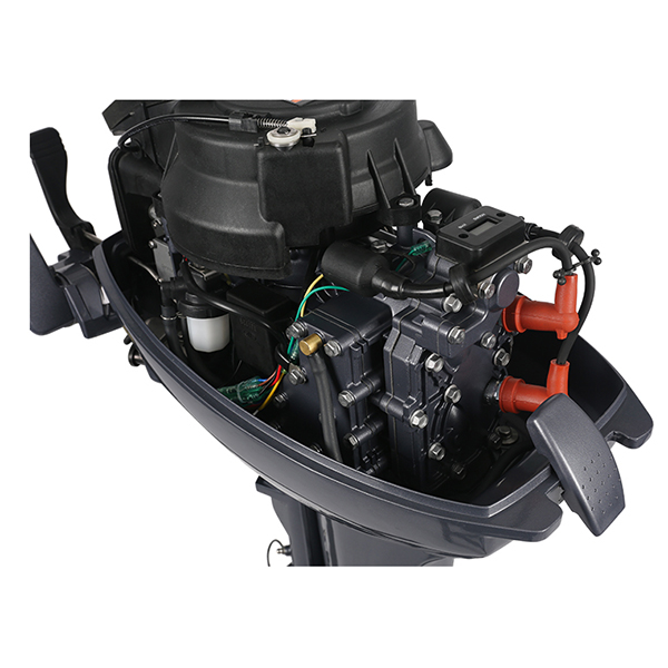 ЛОДОЧНЫЙ МОТОР ALLFA CG Т9,9 Limit в Новомосковске