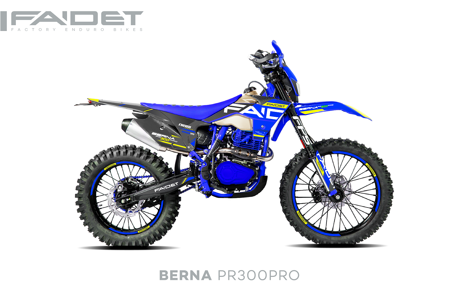 Кроссовый мотоцикл FAIDET BERNA PR300-PRO FPS в Новомосковске