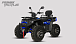 Квадроцикл PROMAX TAURUS 300 MAX-PRO LONG в Новомосковске