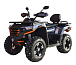Квадроцикл MOTOLAND (МОТОЛЕНД) 300 MAX X в Новомосковске