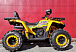 Квадроцикл PROMAX STORM 280 LUX в Новомосковске
