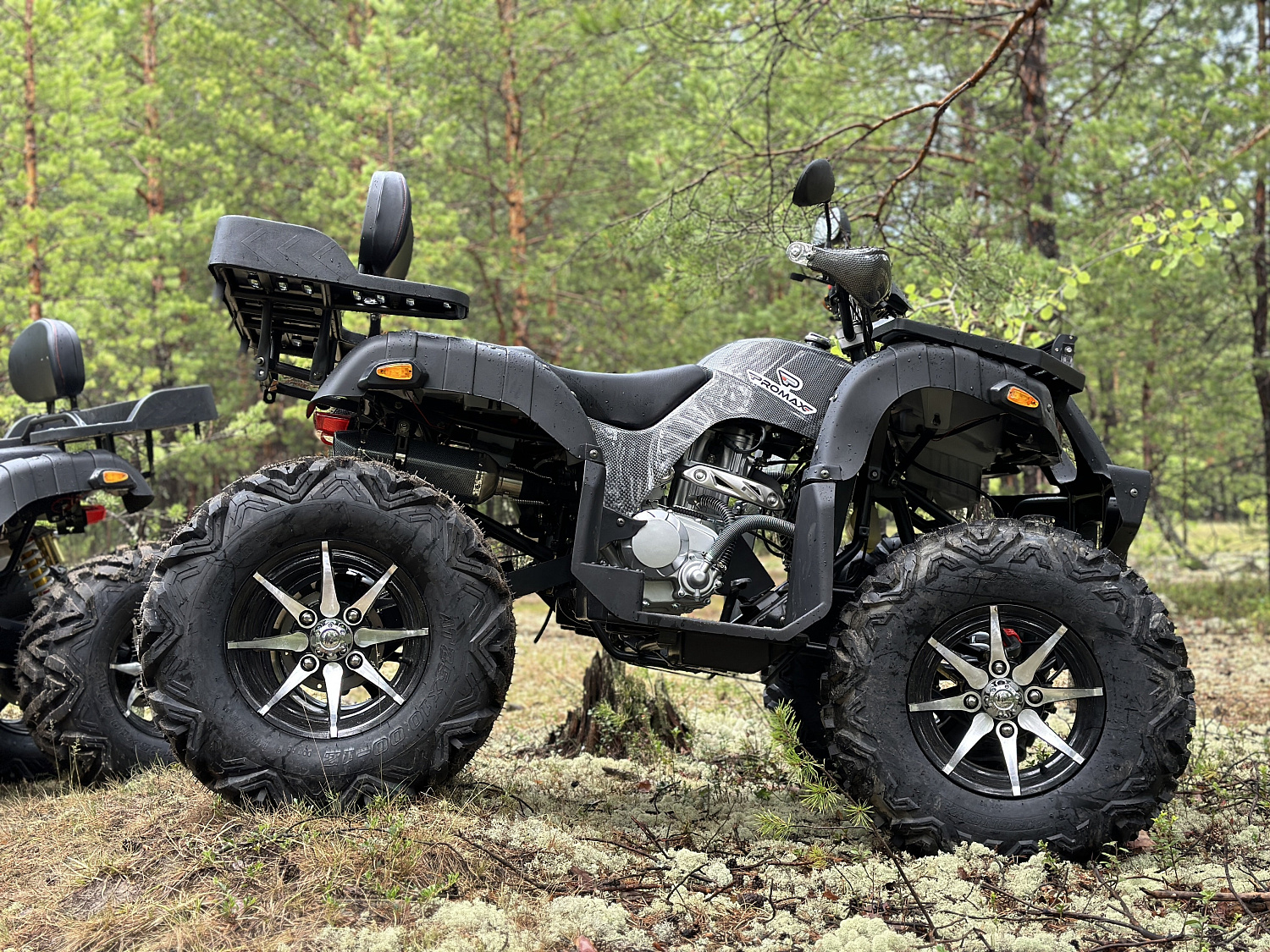 Квадроцикл PROMAX 320 DOMINATOR (2025) в Новомосковске