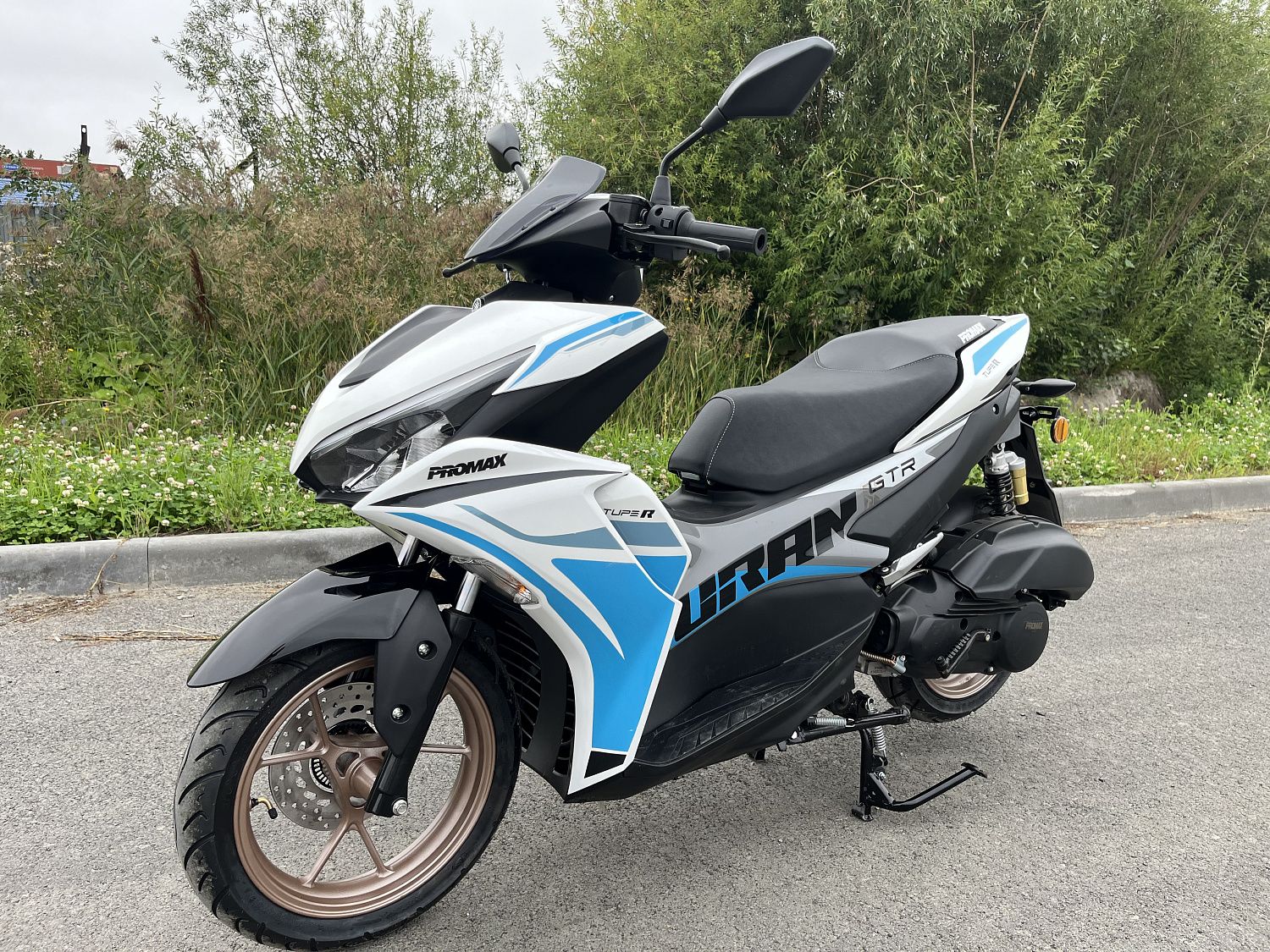 Скутер PROMAX TURAN 250 (49) в Новомосковске