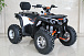 Квадроцикл GBM STORMRIDER 320 PREMIUM в Новомосковске